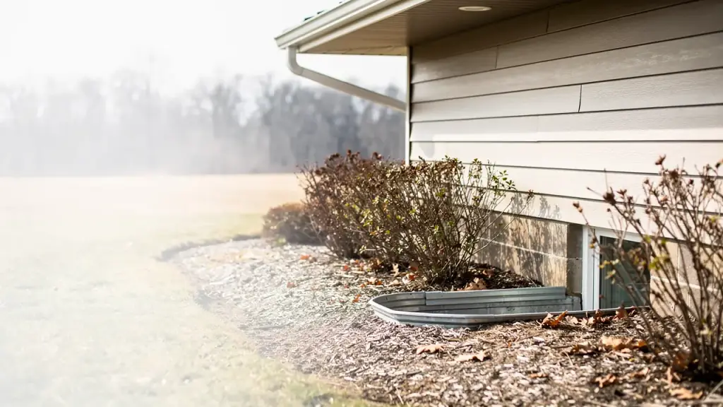 A foundation line, window well and dry shrub bed against the side of a house, with the treeline behind it
